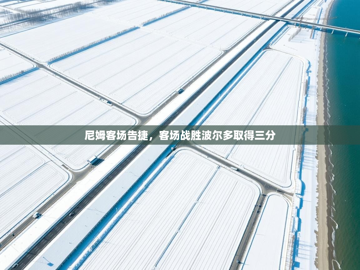 尼姆客场告捷，客场战胜波尔多取得三分