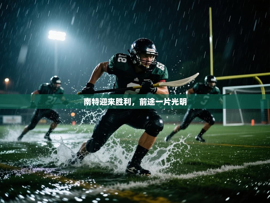 南特迎来胜利，前途一片光明  第2张