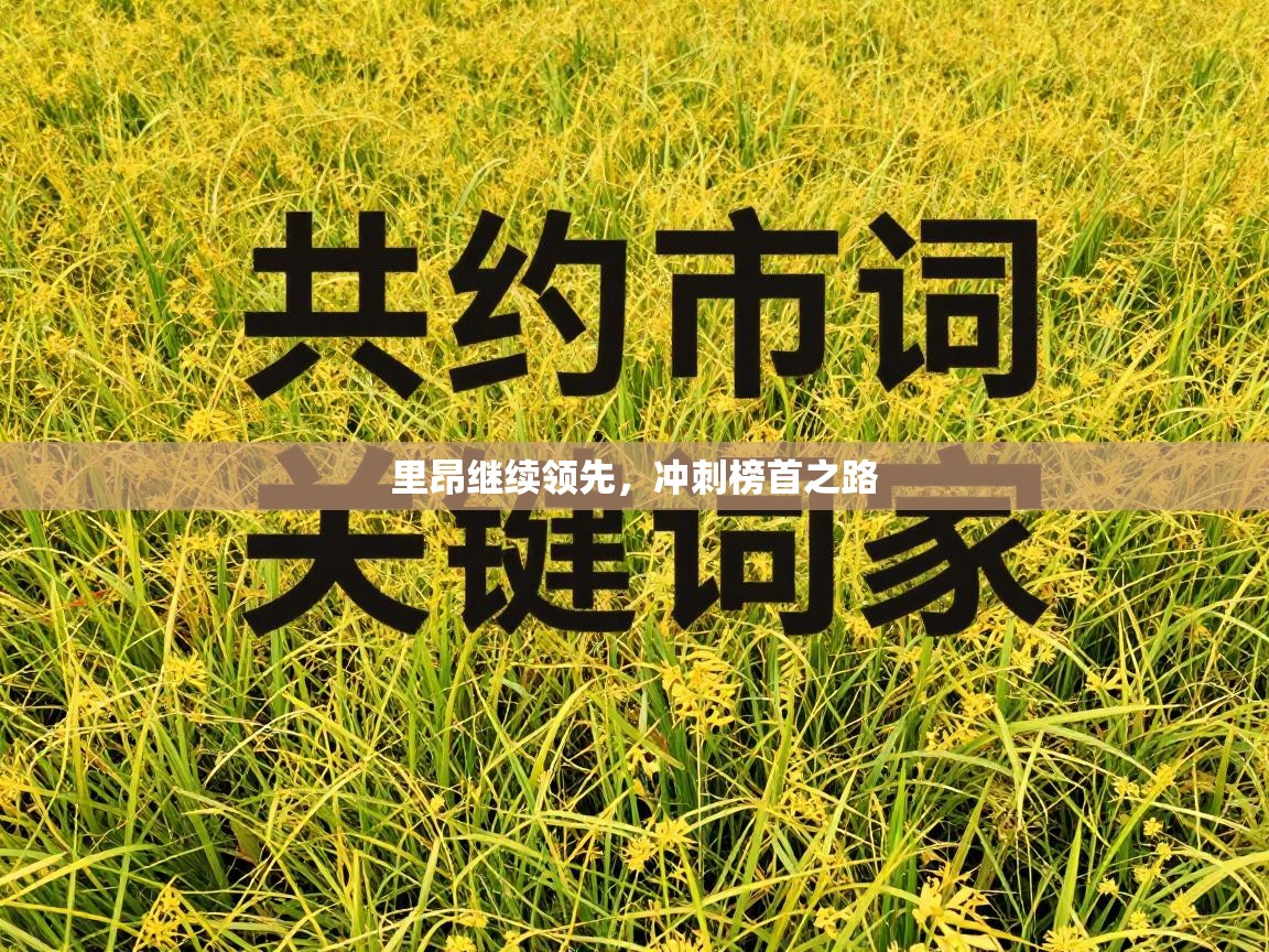 里昂继续领先,冲刺榜首之路 第2张